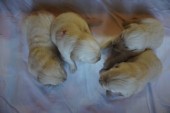 DSC02322.JPG