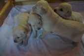 DSC02324.JPG