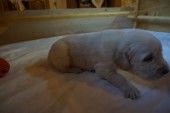 DSC02332.JPG