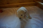 DSC02335.JPG