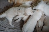 DSC02305.JPG