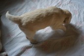 DSC02308.JPG