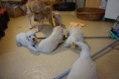 DSC02364.JPG