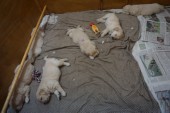 DSC02372.JPG
