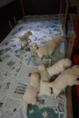 DSC02345.JPG