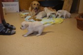 DSC02350.JPG