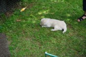 DSC02392.JPG