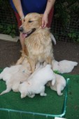 DSC02393.JPG