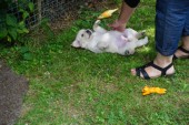 DSC02395.JPG