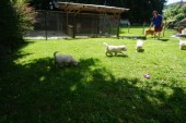 DSC02397.JPG