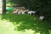 DSC02402.JPG