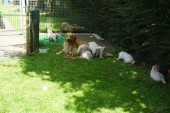 DSC02404.JPG