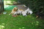 DSC02405.JPG