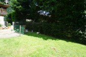 DSC02382.JPG