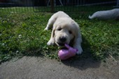DSC02410.JPG