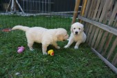 DSC02416.JPG