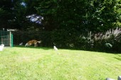 DSC02384.JPG