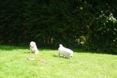 DSC02389.JPG