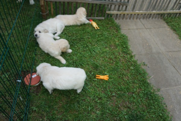 DSC02434.JPG