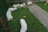 DSC02435.JPG