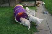 DSC02464.JPG