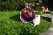 DSC02447.JPG