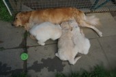 DSC02472.JPG