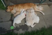 DSC02473.JPG