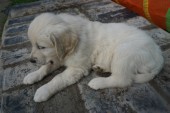 DSC02479.JPG
