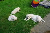 DSC02455.JPG