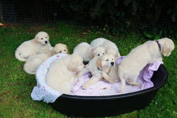DSC02505.JPG