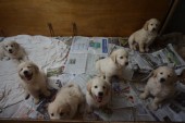 DSC02516.JPG