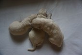 DSC02748.JPG