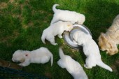 DSC02873.JPG