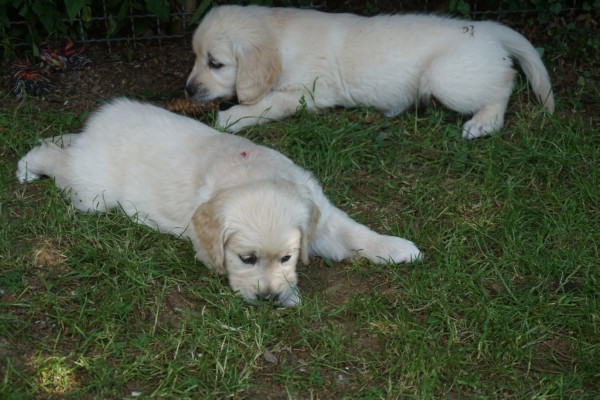 DSC02926.JPG