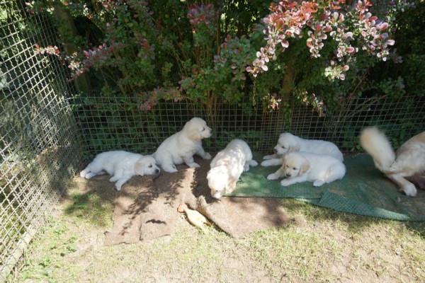 DSC02930.JPG