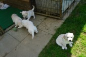 DSC02903.JPG