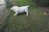 DSC02907.JPG