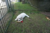 DSC02908.JPG