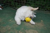 DSC02910.JPG