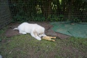 DSC02914.JPG