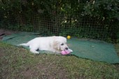 DSC02915.JPG