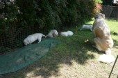 DSC02923.JPG