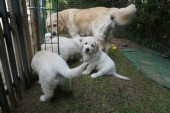 DSC02893.JPG