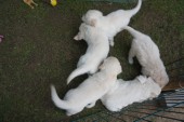 DSC02894.JPG