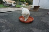 DSC02933.JPG