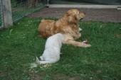 DSC02946.JPG