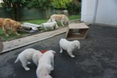 DSC02951.JPG