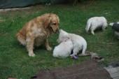 DSC02966.JPG