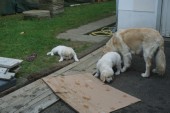 DSC02967.JPG